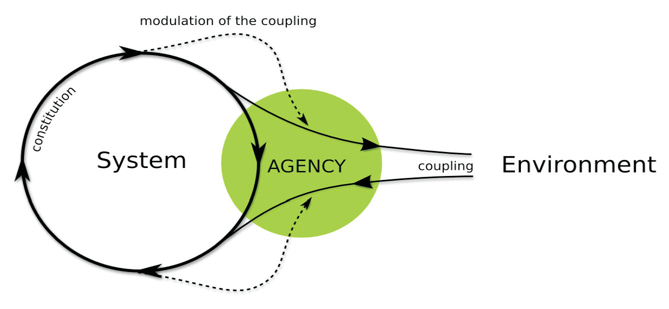 Diagram of agency: a self-sustaining system regulates its coupling with its environment.